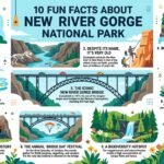 10 Fun Facts About New River Gorge National Park