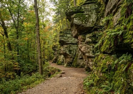 Best Hikes in Cuyahoga National Park