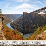 Best Hikes in New River Gorge National Park