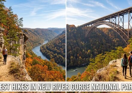 Best Hikes in New River Gorge National Park