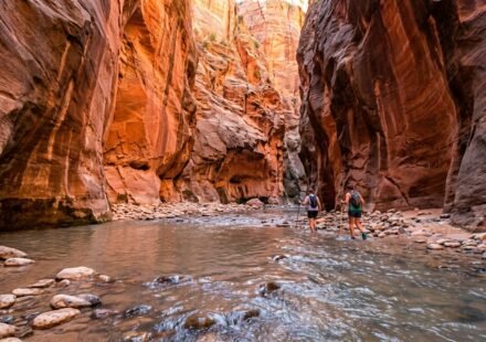Best Hikes in Zion National Park
