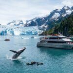 Best Kenai Fjords National Park Cruise