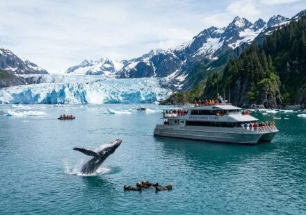 Best Kenai Fjords National Park Cruise