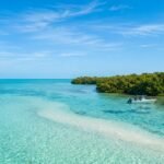 Best Time to Visit Biscayne National Park