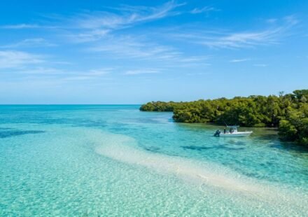 Best Time to Visit Biscayne National Park