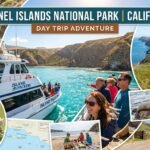 Channel Islands National Park Day Trip