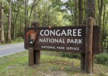 Congaree National Park Sign
