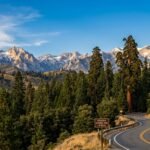 Fresno to Sequoia National Park