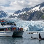 Kenai Fjords National Park Wildlife Cruise