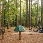 Longleaf Campground Congaree National Park