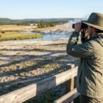 National Park Animals