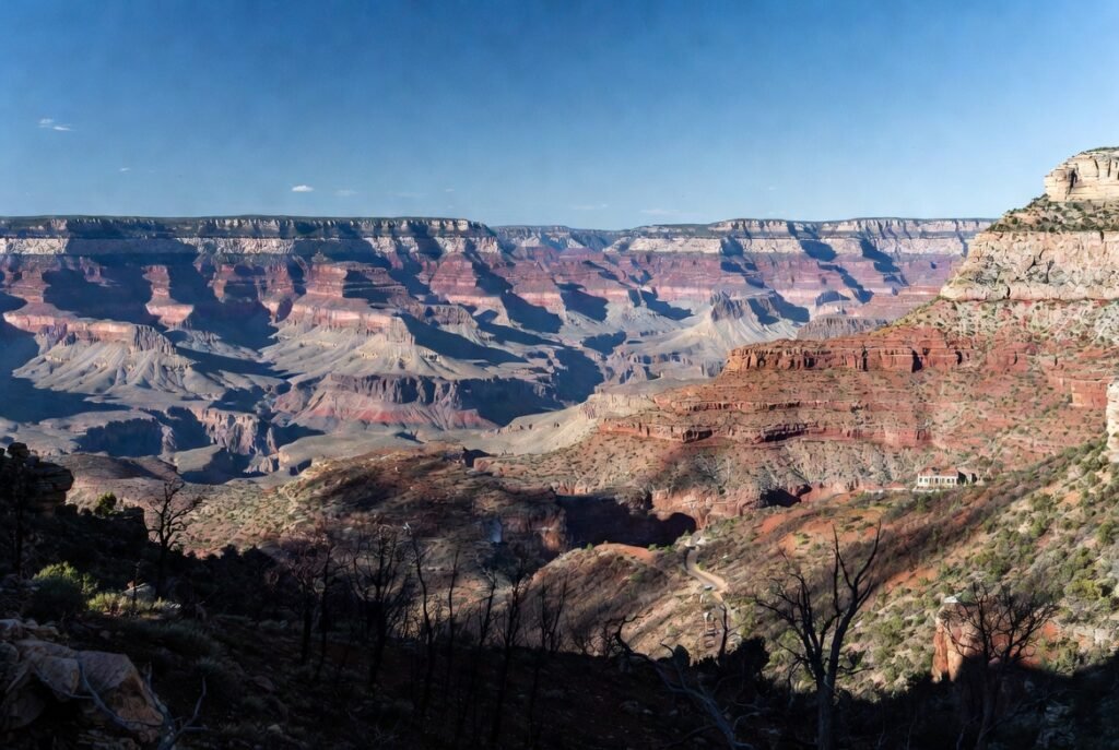 North Rim wildfire recovery