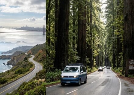 San Francisco to Redwood National Park