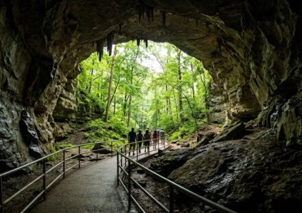 Things to Do Around Mammoth Cave National Park