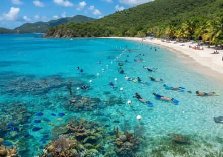 Virgin Islands National Park Snorkeling