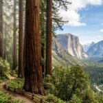 West Coast National Parks