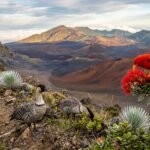 Wildlife in Haleakala National Park
