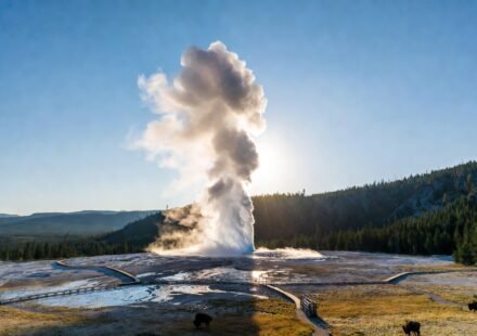 Yellowstone National Park