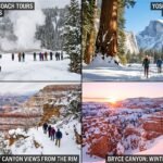 Why america's national parks offer unique experiences during winter for visitors