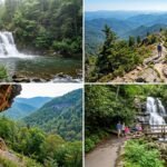Best Hikes in the Smoky Mountain National Park