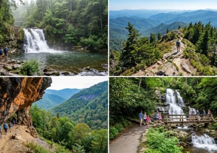 Best Hikes in the Smoky Mountain National Park