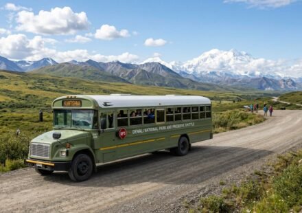 Denali National Park Shuttle Bus