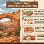 Fun Facts About Capitol Reef National Park