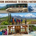 Tours from Anchorage to Denali National Park