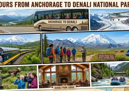 Tours from Anchorage to Denali National Park